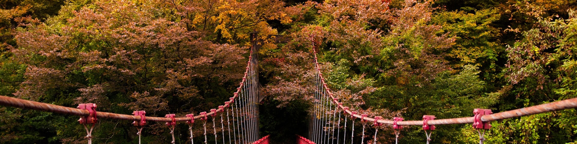 Un puente colgante rojo rodeado de árboles con follaje otoñal.