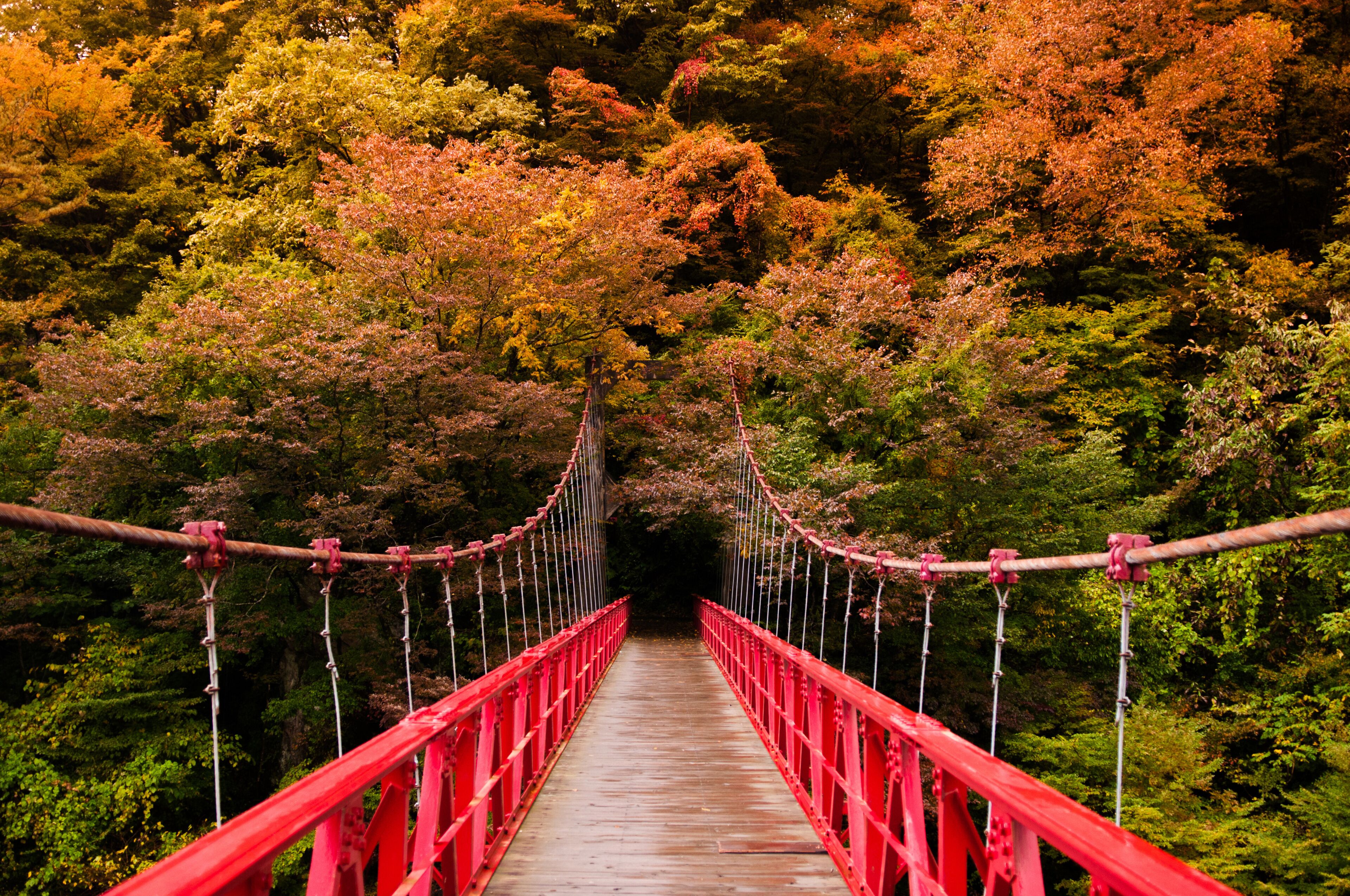 A red suspension bridge surrounded by autumn-colored trees.
