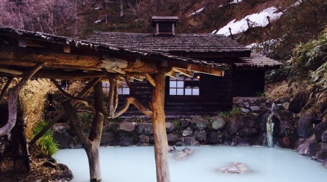 Tsurunoyu onsen at Nyuto onsen in Akita prefecture. It's a 300 year old ryokan with a beautiful outdoor bath