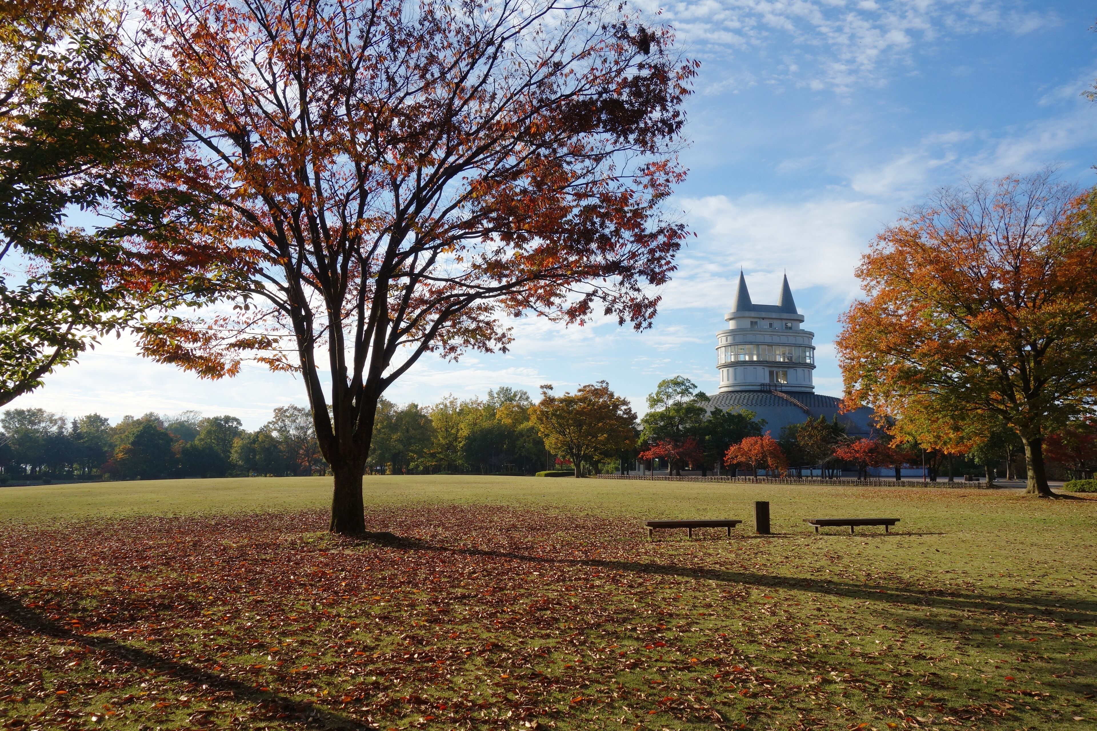 Fukui Sogo Green Center (Sakai City, Fukui Pref., Japan)