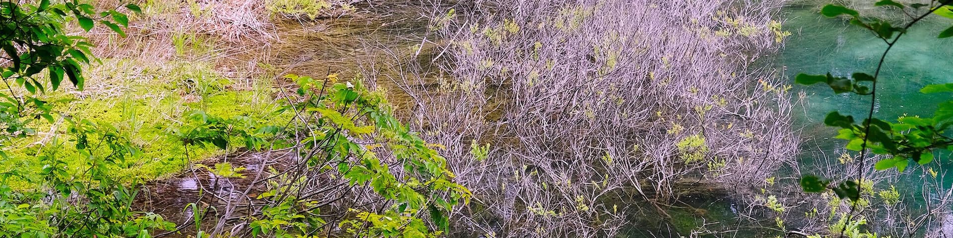 Mystic lakes and ponds of “Goshikinuma”.
The water color mysteriously differs according to ponds: emerald green, cobalt green, turquoise blue, emerald blue, and pastel blue.