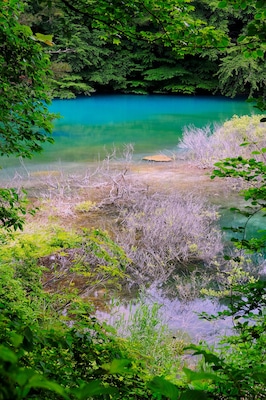 Mystic lakes and ponds of “Goshikinuma”.
The water color mysteriously differs according to ponds: emerald green, cobalt green, turquoise blue, emerald blue, and pastel blue.