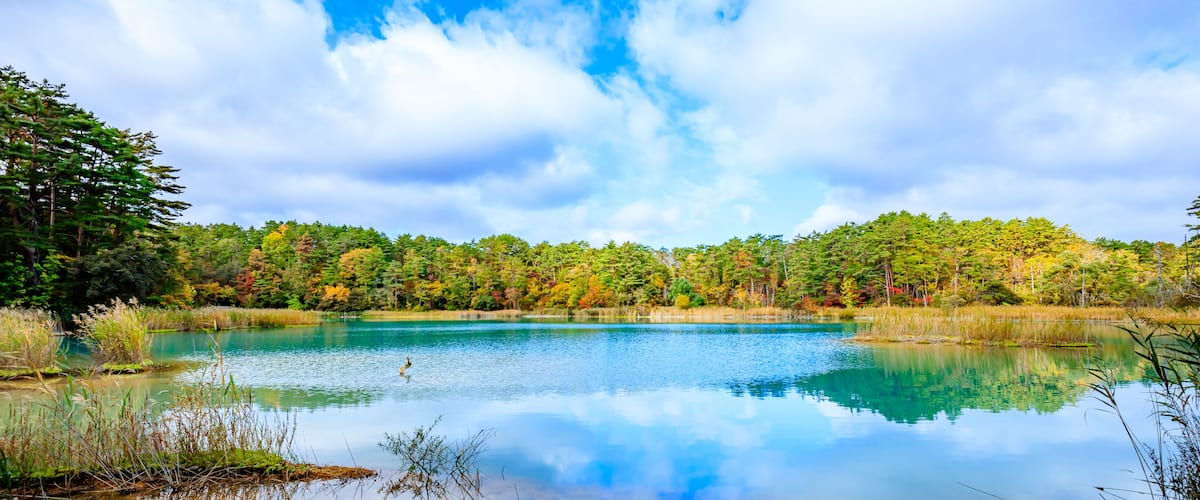 初秋の五色沼群 弁天沼 福島県北塩原村 Goshikinuma in early autumn. Benten Swamp. Fukushima Pref, Kitashiobara Village.