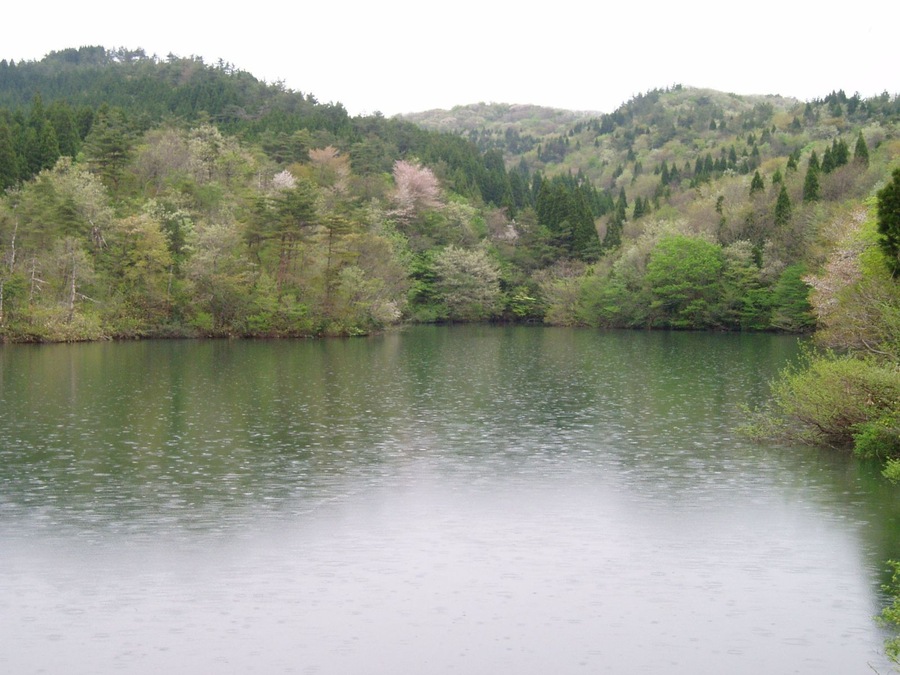 溜池(新池)
