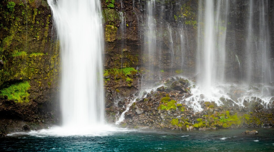 Shiraito Falls showing a waterfall