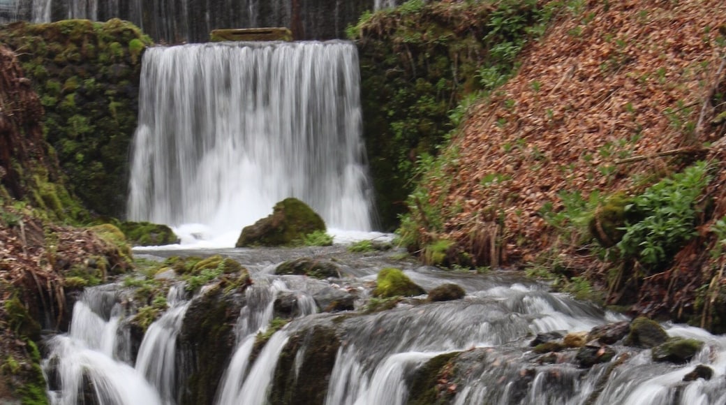 Spectacular falls. You could spend hours, there are so many shots to be had.
