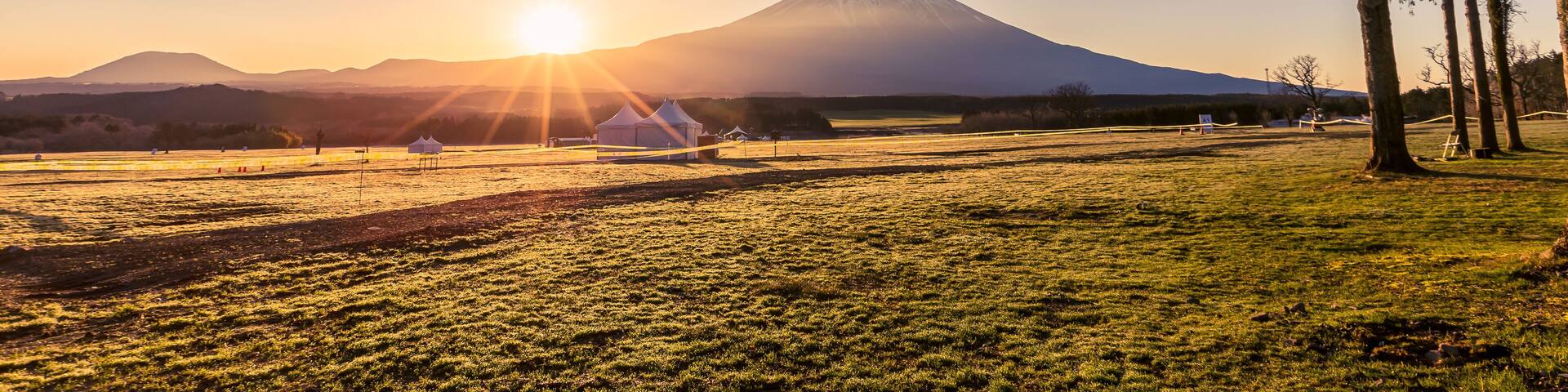 A grassy field with tents and a mountain in the background.