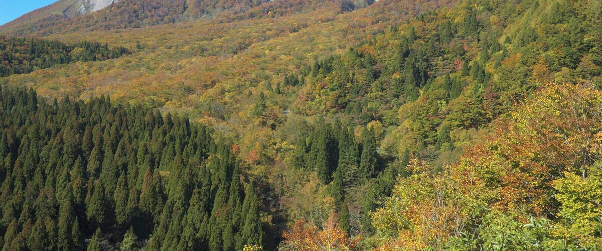A mountain with autumn foliage and a clear blue sky.