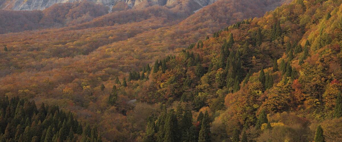 The South side of Daisen volcano.