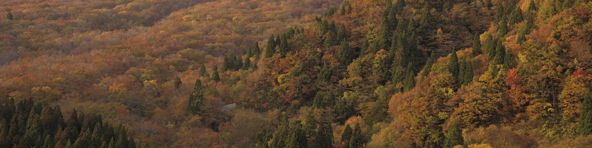 The South side of Daisen volcano.