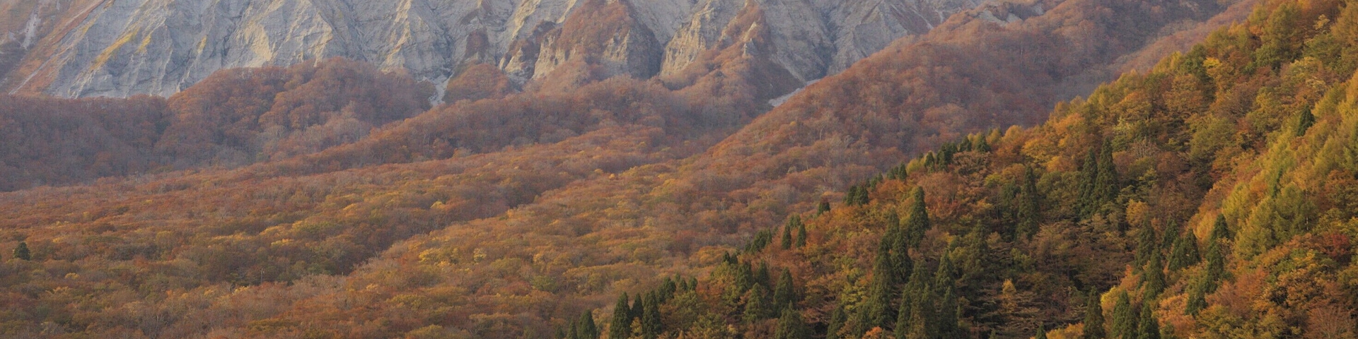 The South side of Daisen volcano.