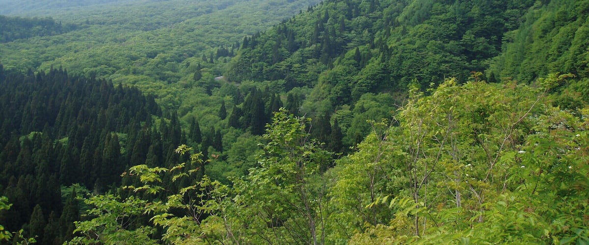 鍵掛峠からの大山