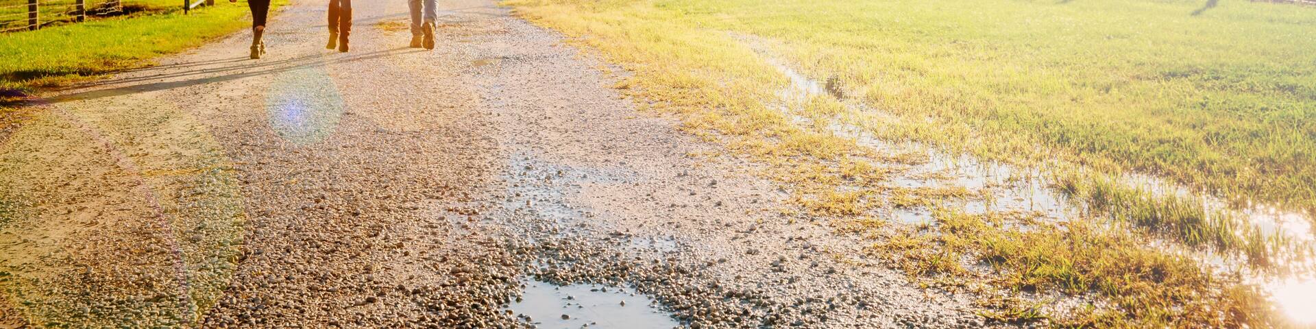 Caucasian children walking on dirt road on ranch