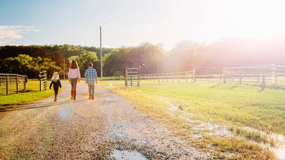 A gravel path in a rural setting with a fence and greenery in the background.
