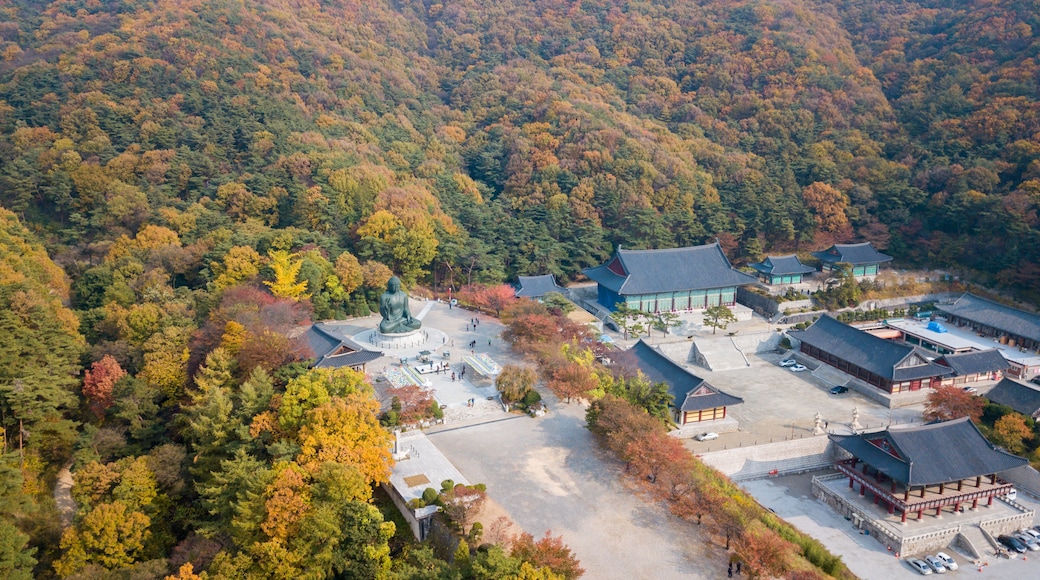 Aerial view autumn of Statue of Buddha in Temple, Seoul Korea .