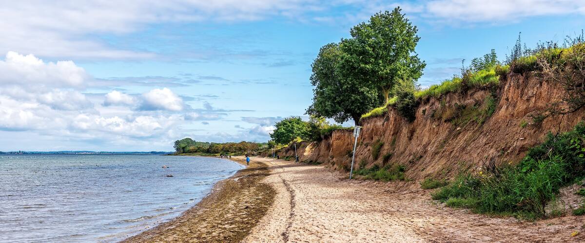 A sandy beach with a cliff and a tree.