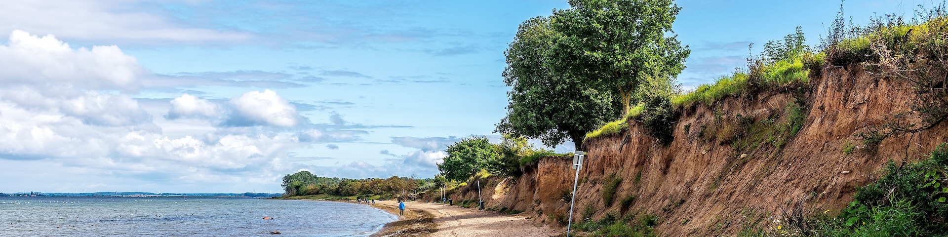 A sandy beach with a cliff and a tree.
