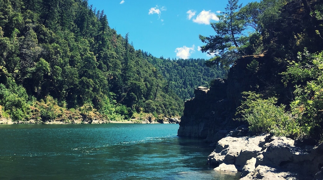 Tish Tang Campground is right on the Trinity River. Look out for the rope swing, frogs, and crayfish.
#Nature #Camping #River