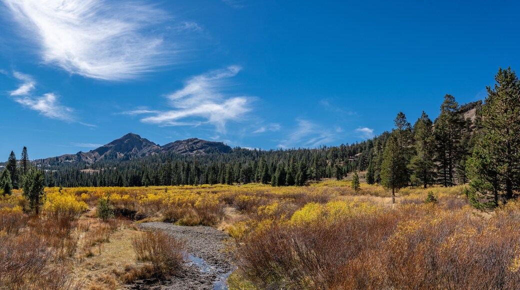 The Nipple, Hope Valley California