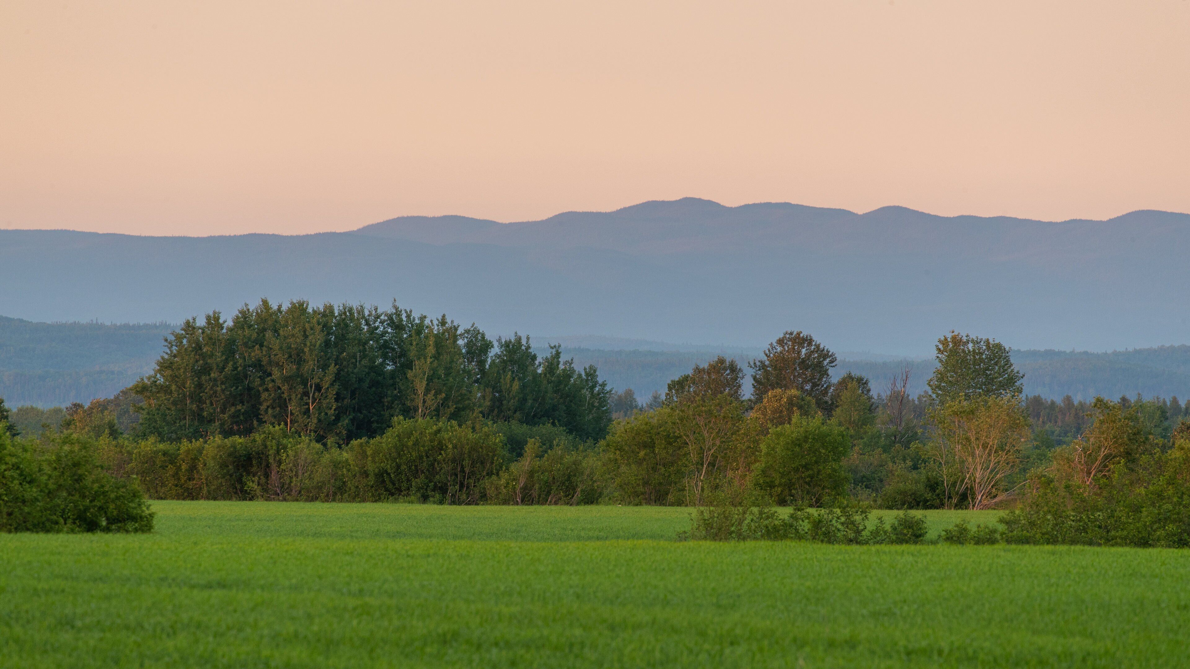 Saguenay featuring a park and a sunset