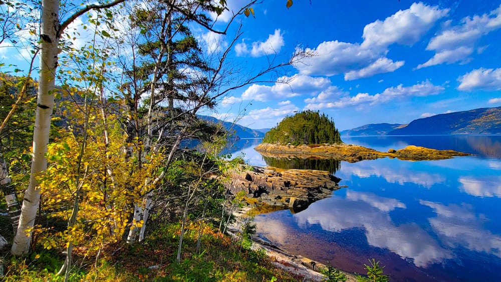 A serene lake with a rocky island, birch trees, and a clear blue sky.