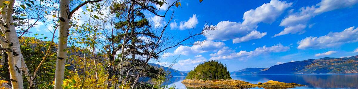 A serene lake with a rocky island, birch trees, and a clear blue sky.