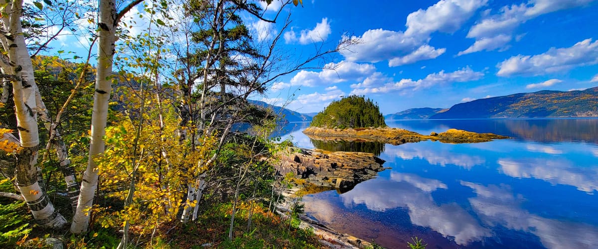 Un lago tranquilo con una isla rocosa, abedules y un cielo azul despejado.