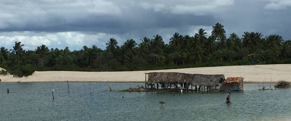 A beach with a thatched-roof hut and palm trees in the background.