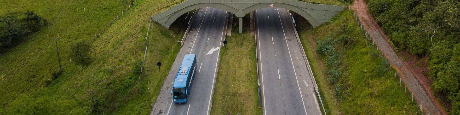 A vegetated viaduct provides passage for animals along the busy BR-101 highway, in the municipality of Casimiro de Abreu, in Rio de Janeiro.
