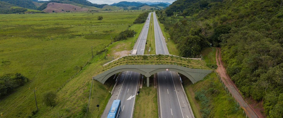 A highway with a bridge over a valley, surrounded by green hills and a clear sky.