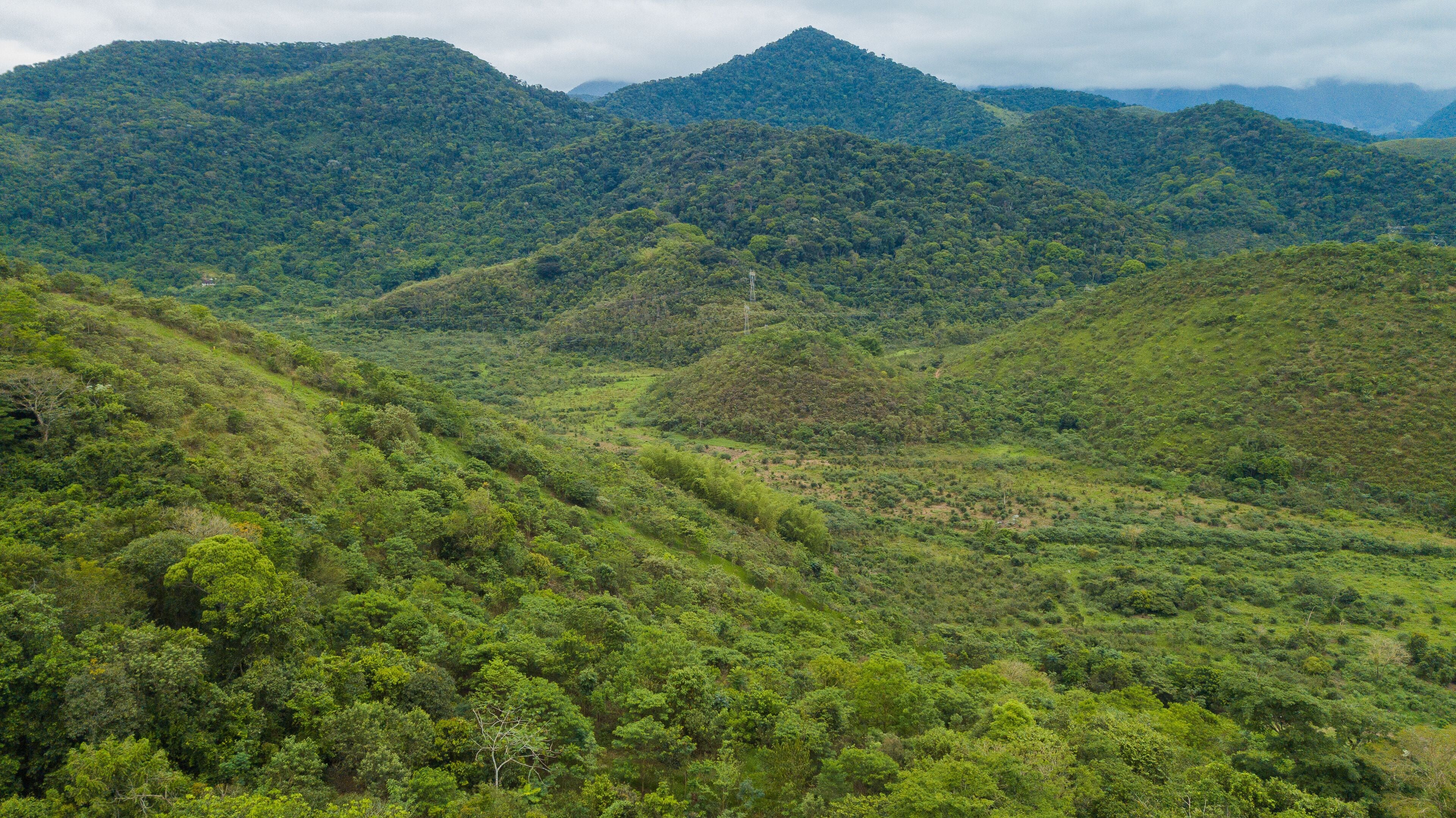Rural area destined for restoration of native forest in the municipality of Casimiro de Abreu, Rio de Janeiro. 