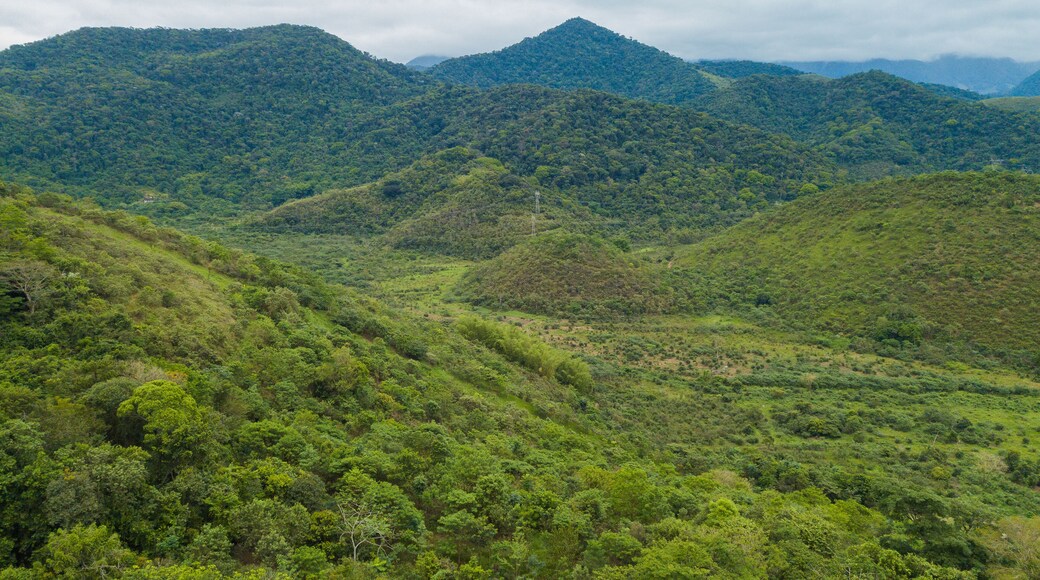 Rural area destined for restoration of native forest in the municipality of Casimiro de Abreu, Rio de Janeiro.