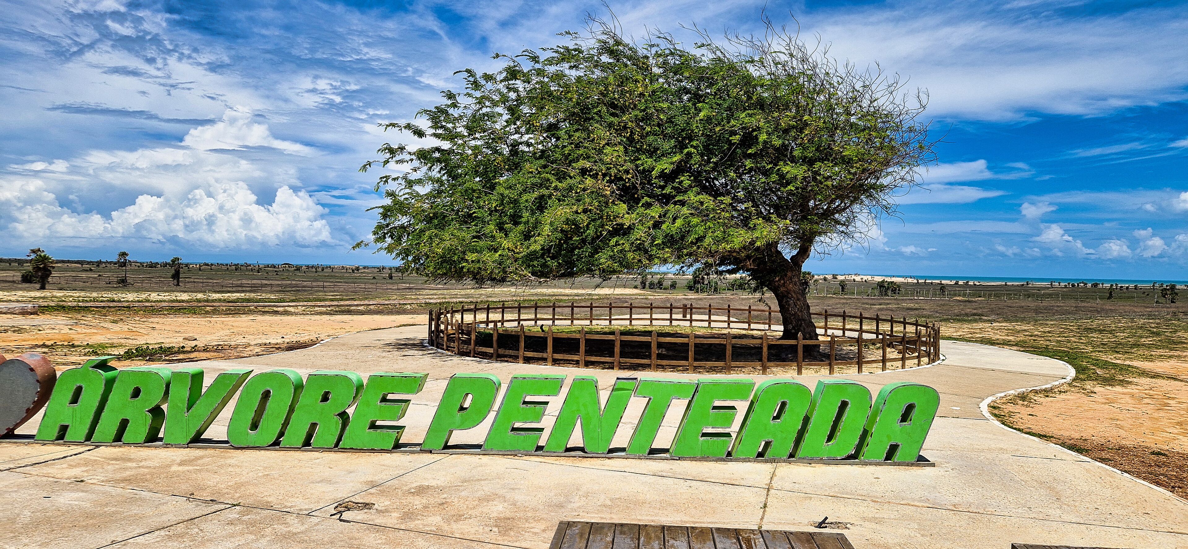 A park with a large tree and the sign 'ARVORE PENTERA'.