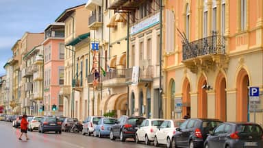 Viareggio featuring a house and street scenes as well as an individual femail