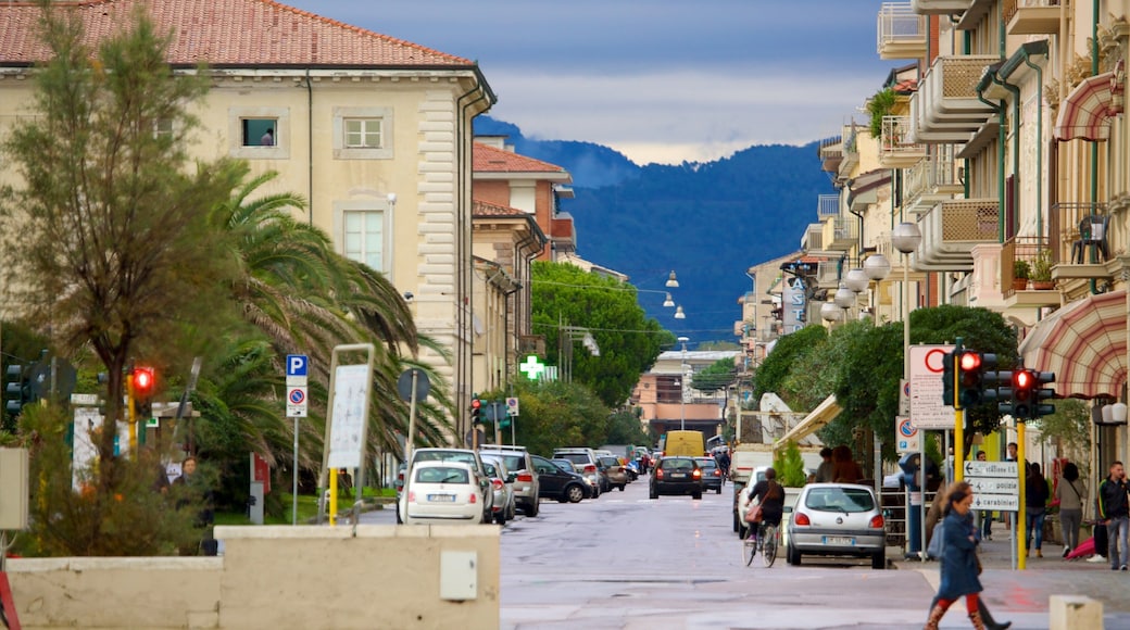 Passeggiata di Viareggio showing street scenes and a city