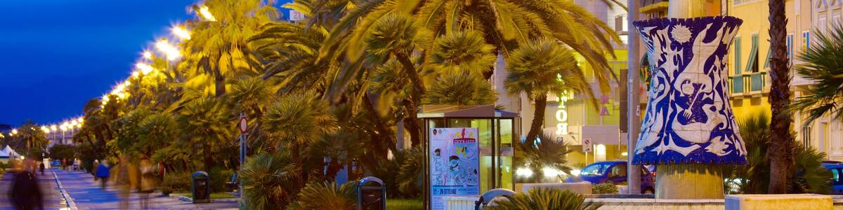 Viareggio das einen tropische Szenerien, bei Nacht und Straßenszenen