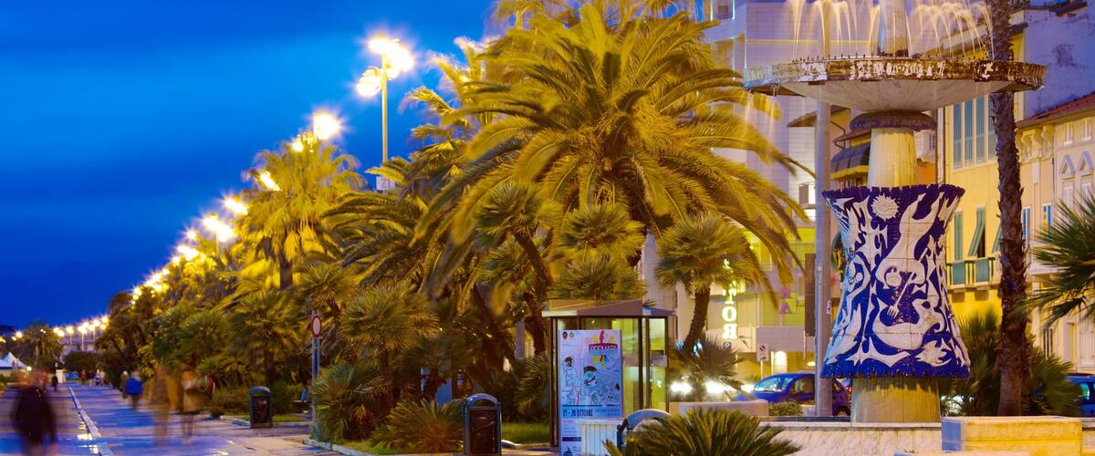 Viareggio which includes night scenes, tropical scenes and street scenes