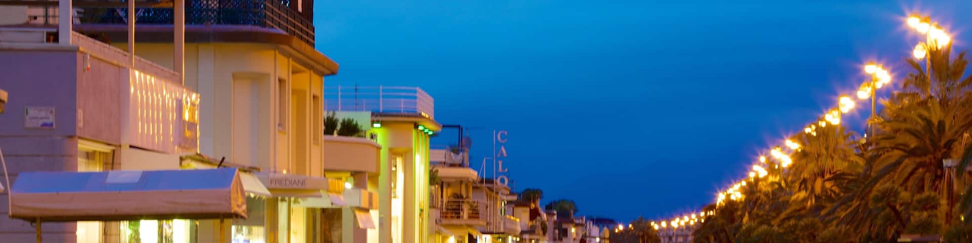 Passeggiata di Viareggio showing night scenes