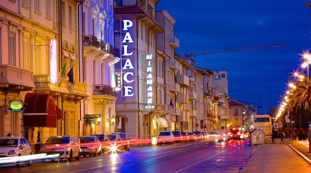 Passeggiata di Viareggio showing a city, heritage architecture and signage
