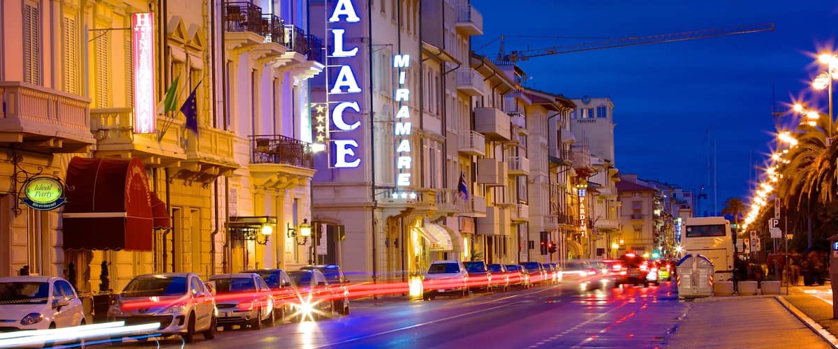 A street at night with illuminated buildings, including a prominent 'PALACE' sign.