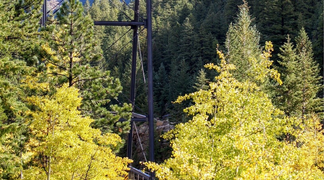 The Georgetown Loop Railroad is a 3 ft (914 mm) narrow gauge United States heritage railroad located in the Rocky Mountains in Clear Creek County, adjacent to Interstate 70 in Colorado.