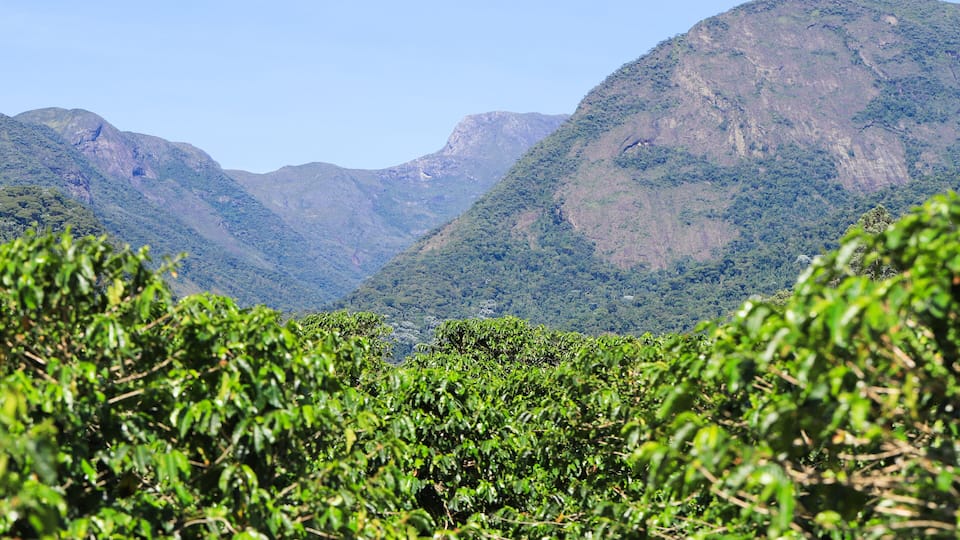 A mountainous landscape with dense green vegetation in the foreground and a clear blue sky.