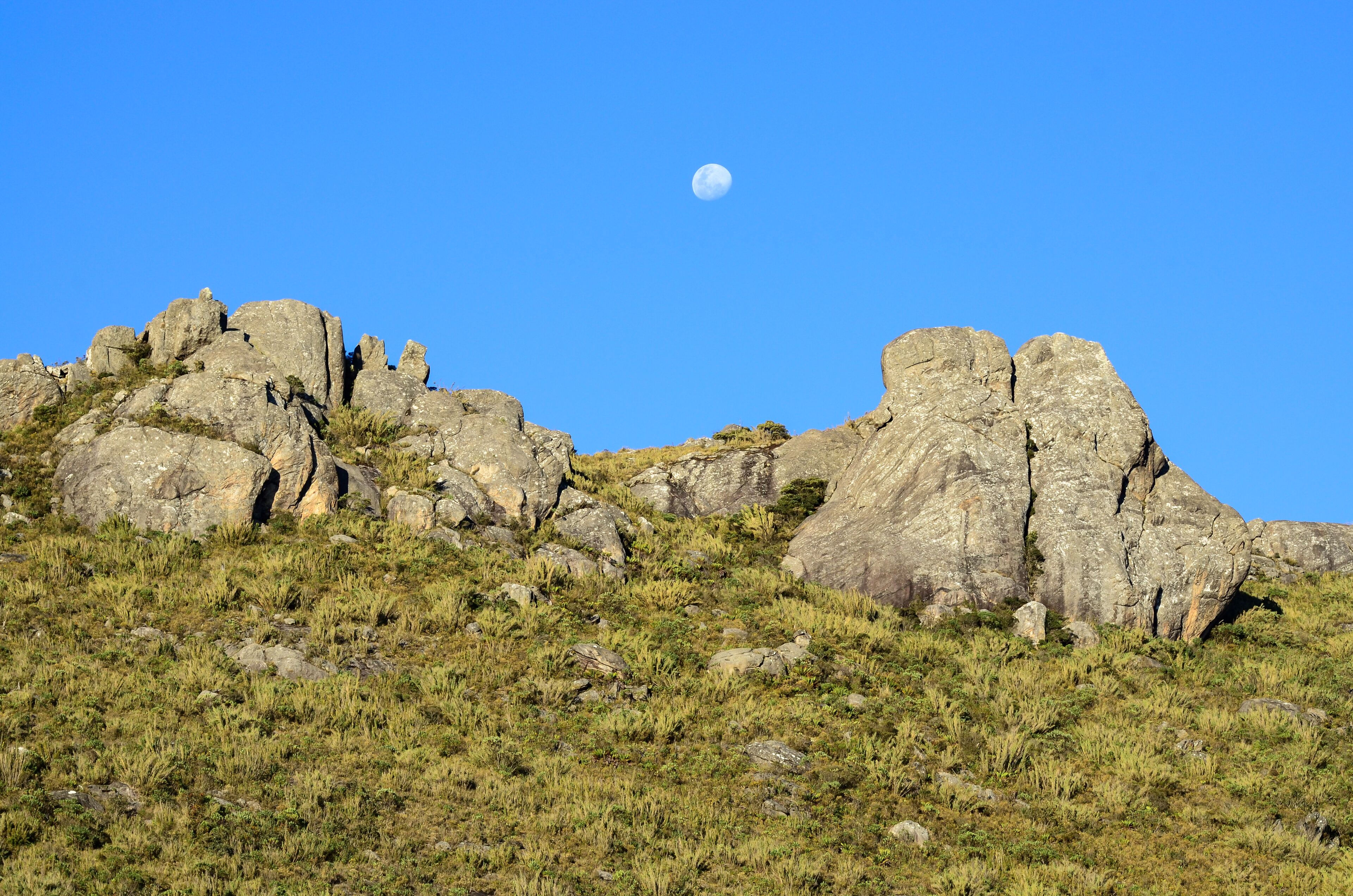 A rocky hill with sparse vegetation and a visible moon in the sky.