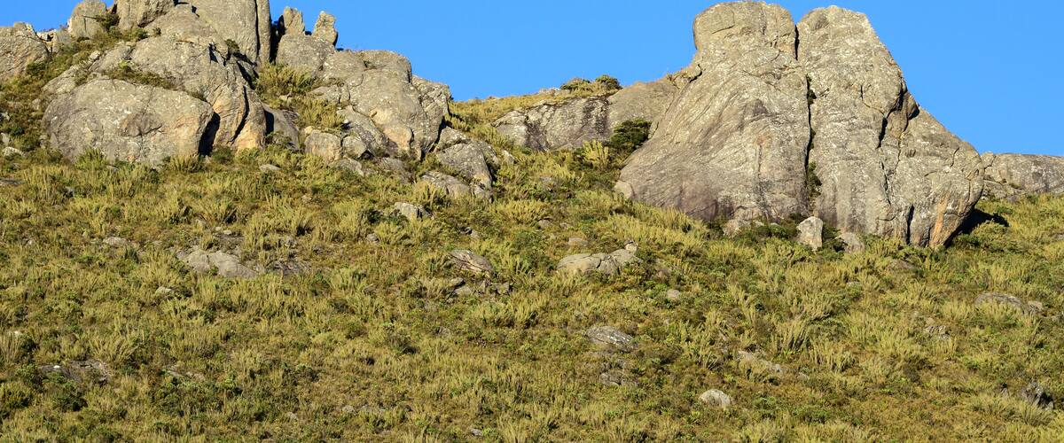 A rocky hill with sparse vegetation and a visible moon in the sky.