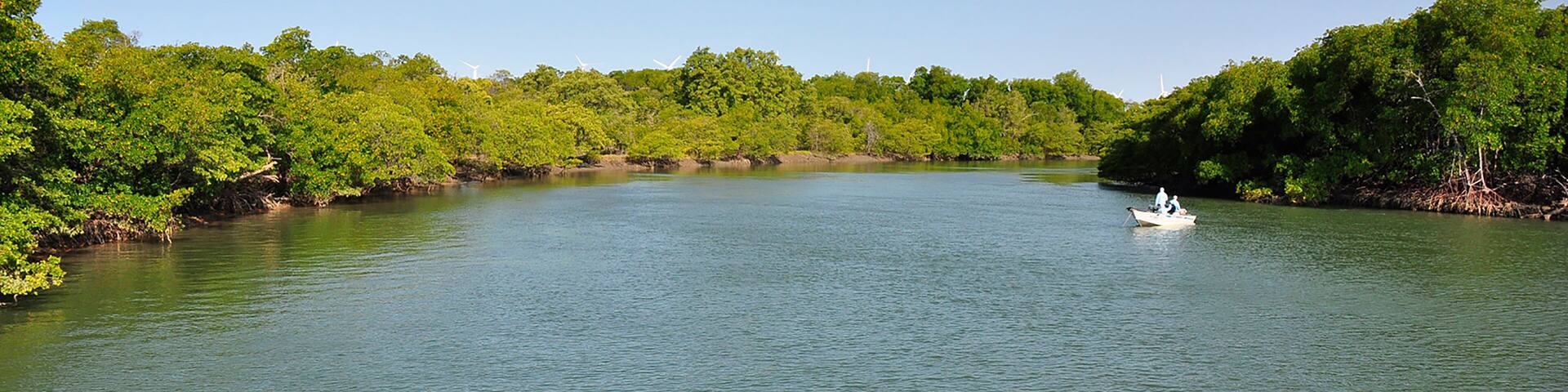 Beautiful beach landscape in Fortim, Ceará, Brazil