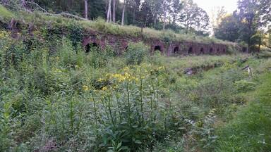 Leetonia beehive coke ovens are a little treasure in Ohio.