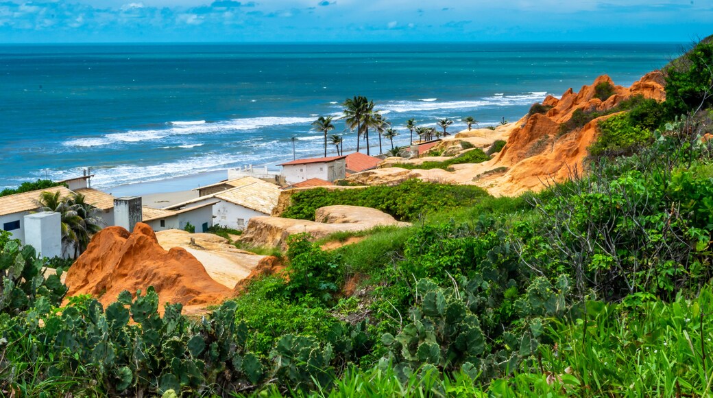Beaches of Brazil - Morro Branco Beach - Ceara state