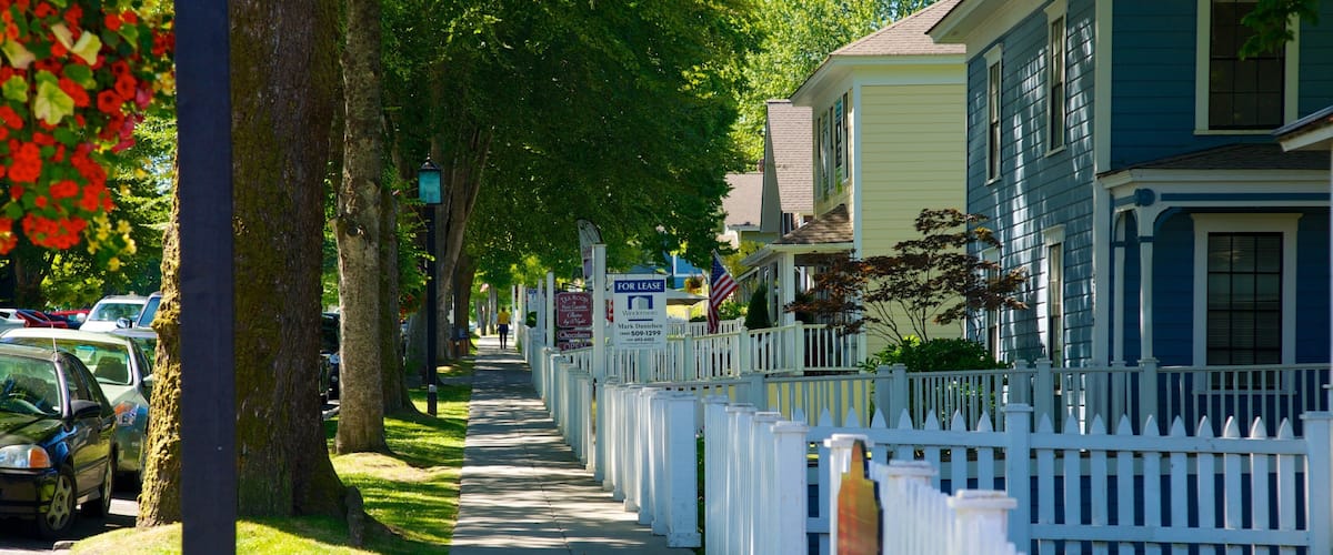 A tree-lined residential street with parked cars and a sidewalk.
