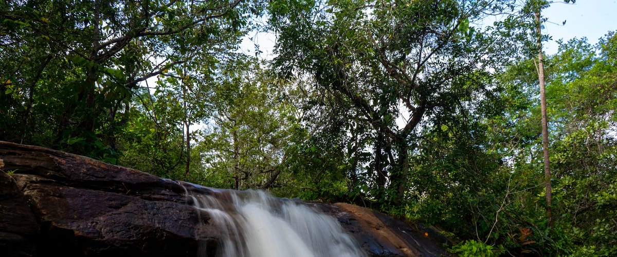 A waterfall flowing over a rocky surface surrounded by dense green foliage.