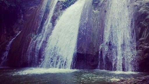 After an hour of tractor ride (my first tractor ride) and bumpy roads......
Taaadaaaaaaaaa!!!
So worth it..